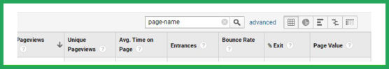 Google Analytics Page Search