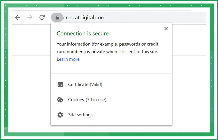 Secure Site Connection